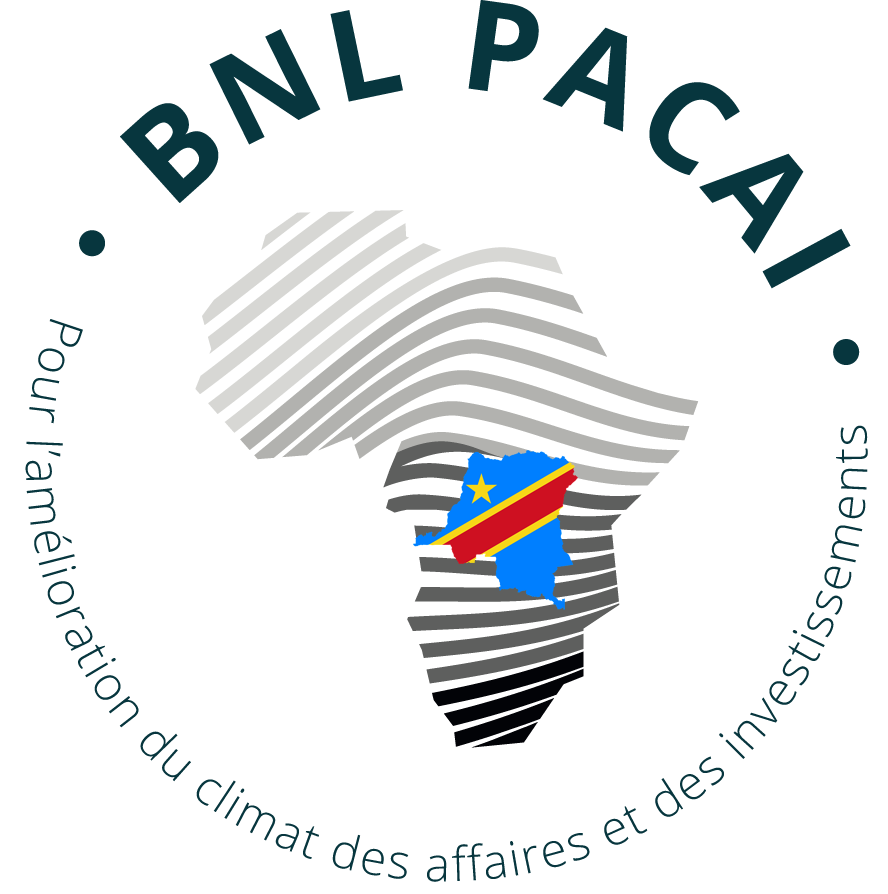 Cropped Bnl Pacai Logo April24update 4.png
